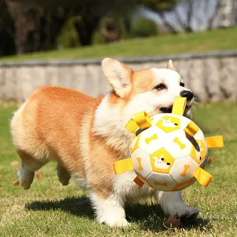 Balle Interactive Chien Laisse Intégrée 19cm