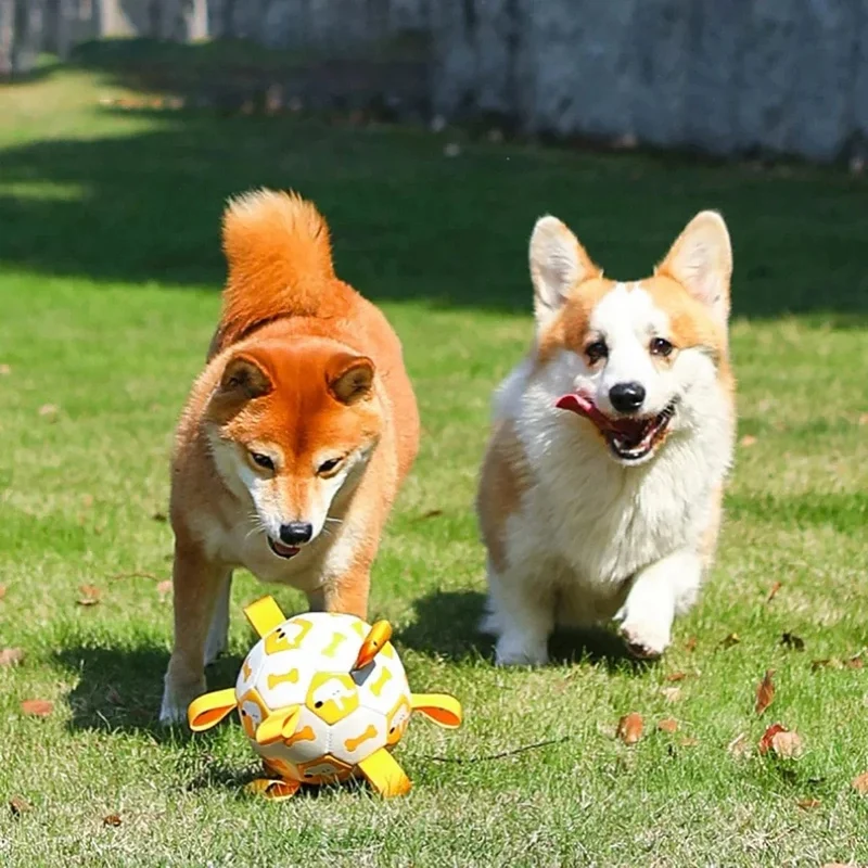 Balle Interactive Chien Laisse Intégrée 19cm