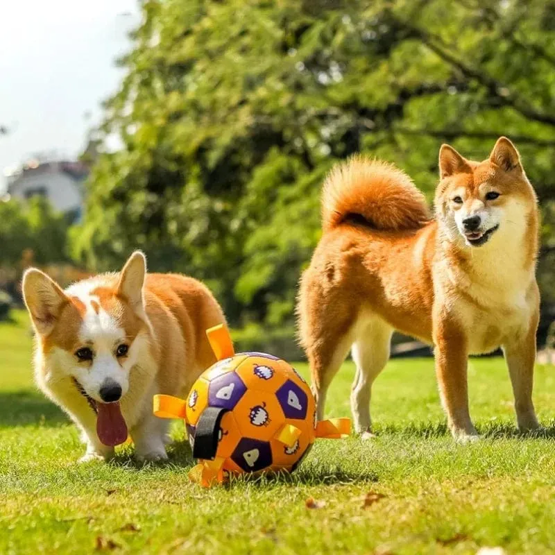 Balle Interactive Chien Laisse Intégrée 19cm