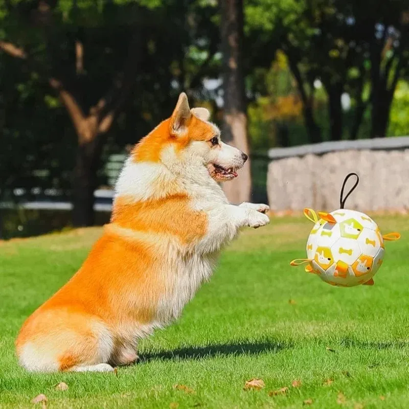 Balle Interactive Chien Laisse Intégrée 19cm
