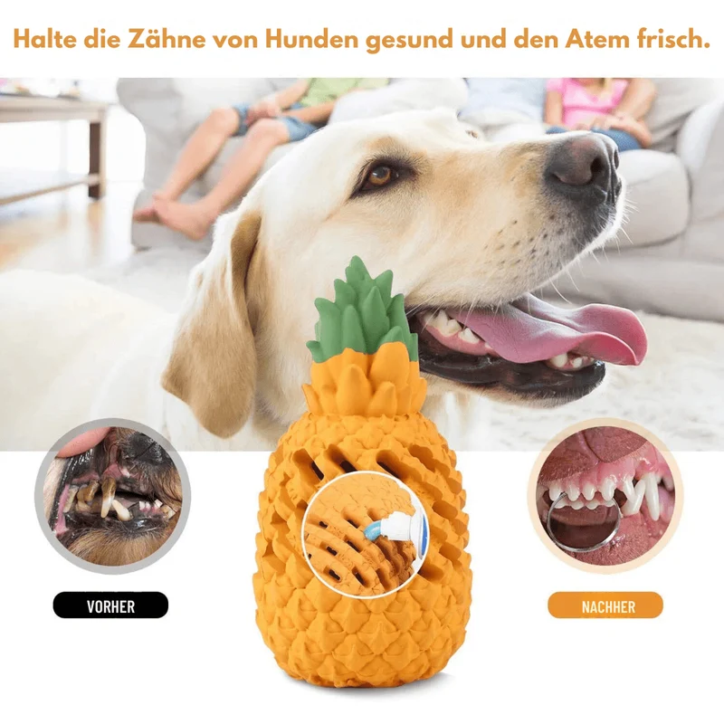 Jouet Ananas Caoutchouc Gros Chien Mordeur