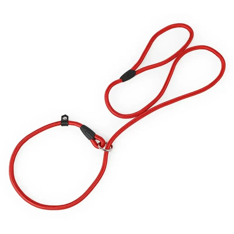 Laisse Lasso Nylon Entraînement Chien 130cm