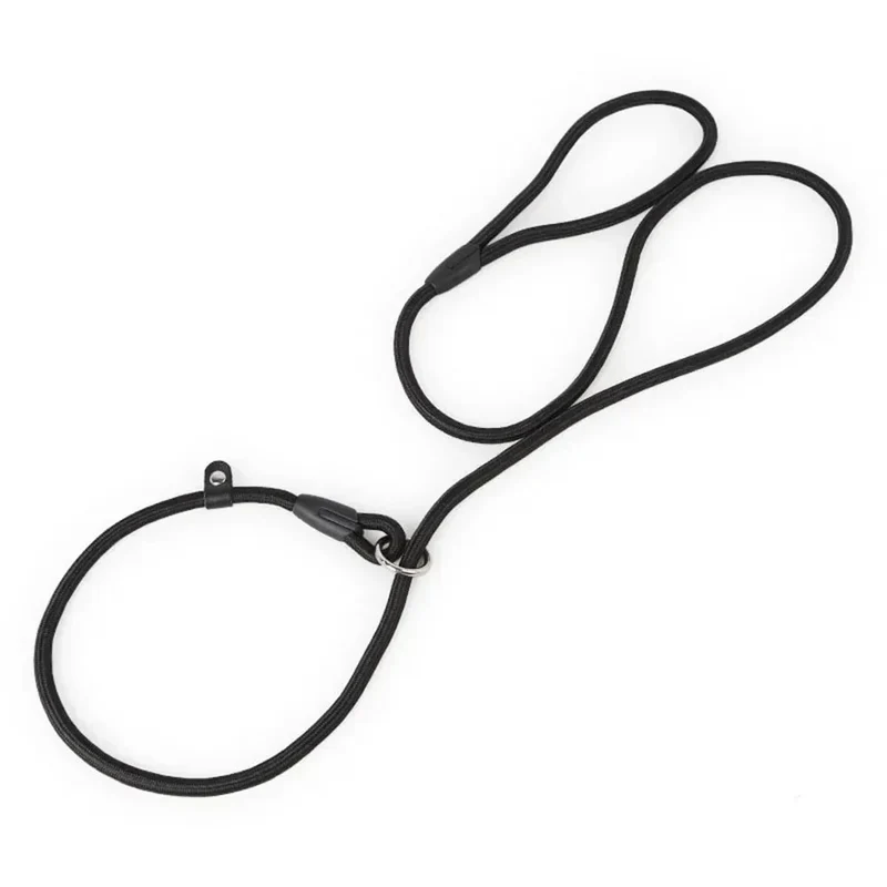 Laisse Lasso Nylon Entraînement Chien 130cm