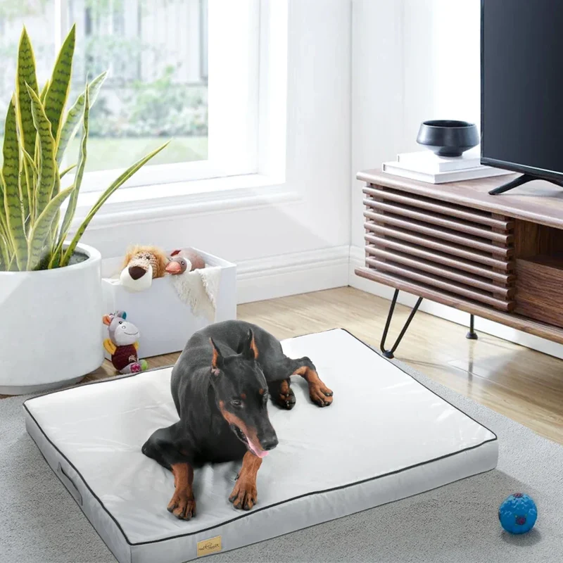 Tapis Orthopédique Imperméable Gros Chien
