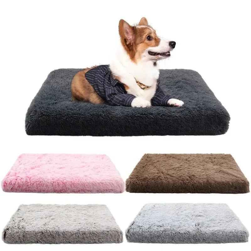 Tapis Déhoussable Confort Gros Chien