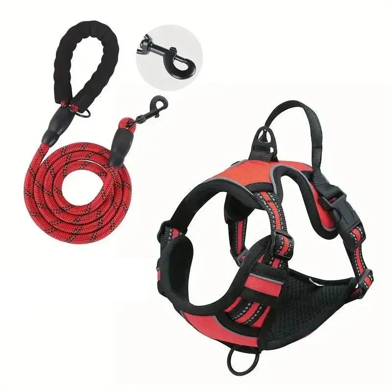 Harnais avec Laisse Berger Allemand 9 Couleurs