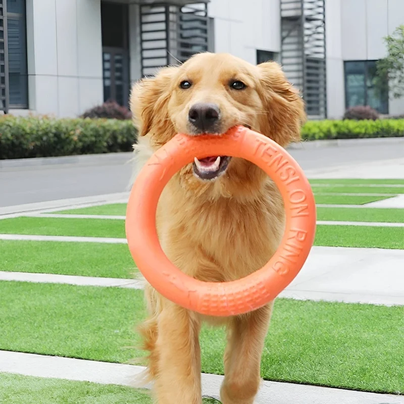 Anneau Caoutchouc Résistant Jouet Chien