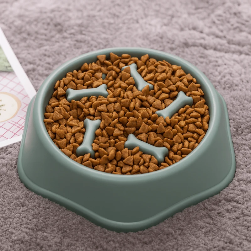 Gamelle Anti-Glouton Chien Ralentit Repas