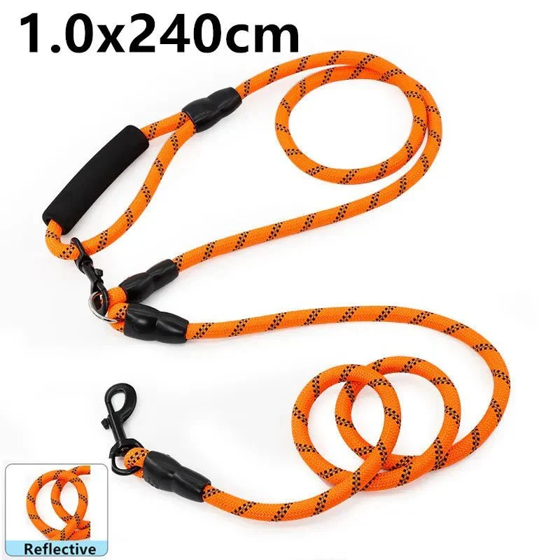 Laisse Lasso Réfléchissante Haute Visibilité Chien