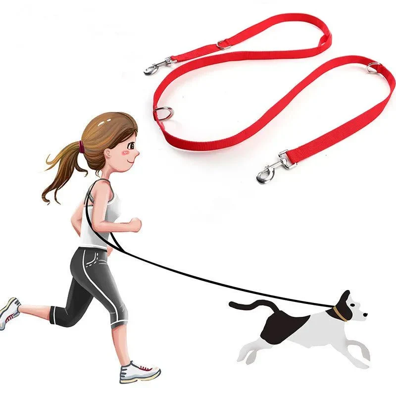 Laisse Lasso Réfléchissante Haute Visibilité Chien