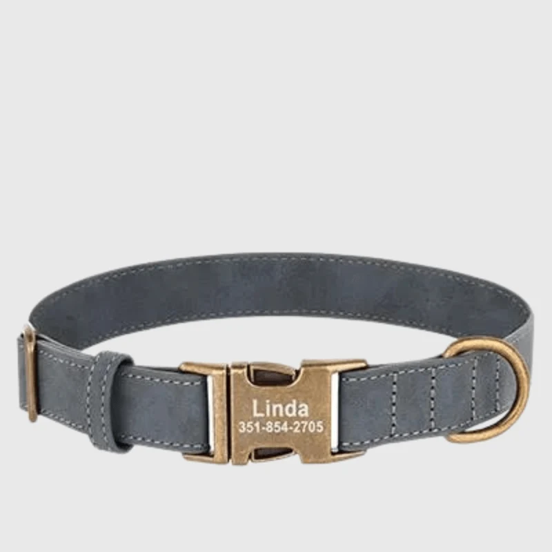 Collier Personnalisé Gravé Gros Chien Nylon
