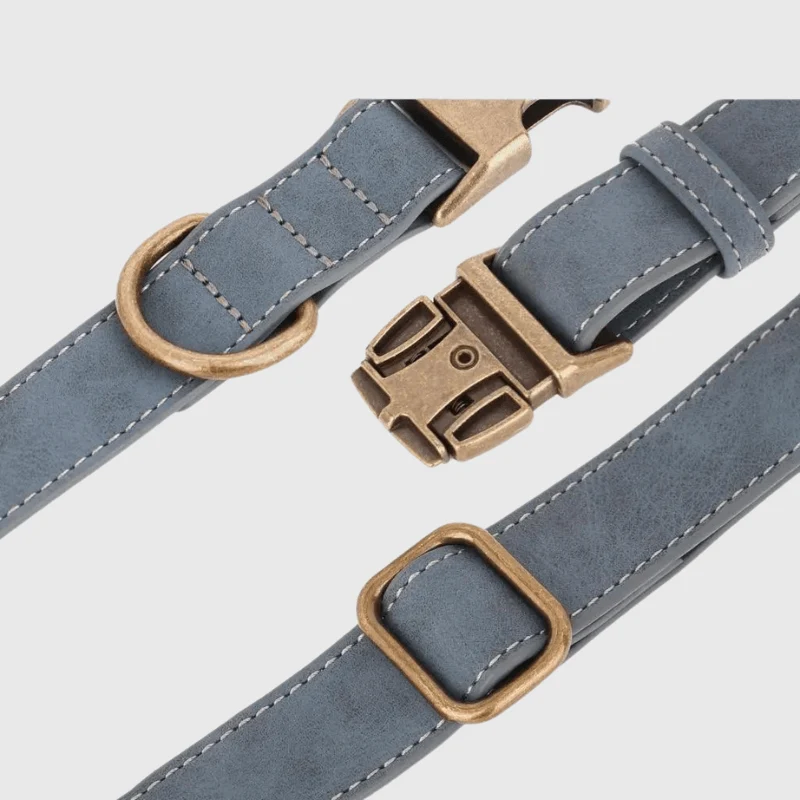 Collier Personnalisé Gravé Gros Chien Nylon