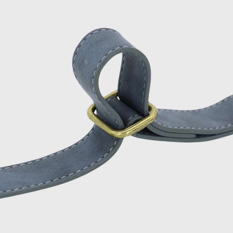 Collier Personnalisé Gravé Gros Chien Nylon