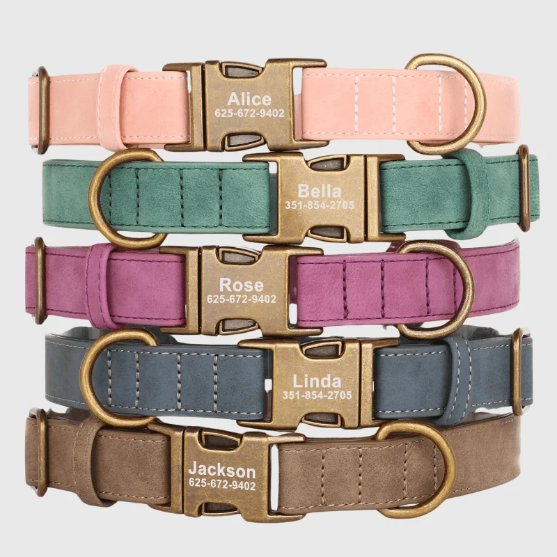 Collier Personnalisé Gravé Gros Chien Nylon
