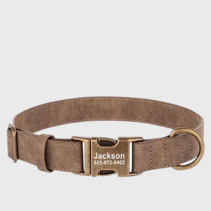 Collier Personnalisé Gravé Gros Chien Nylon