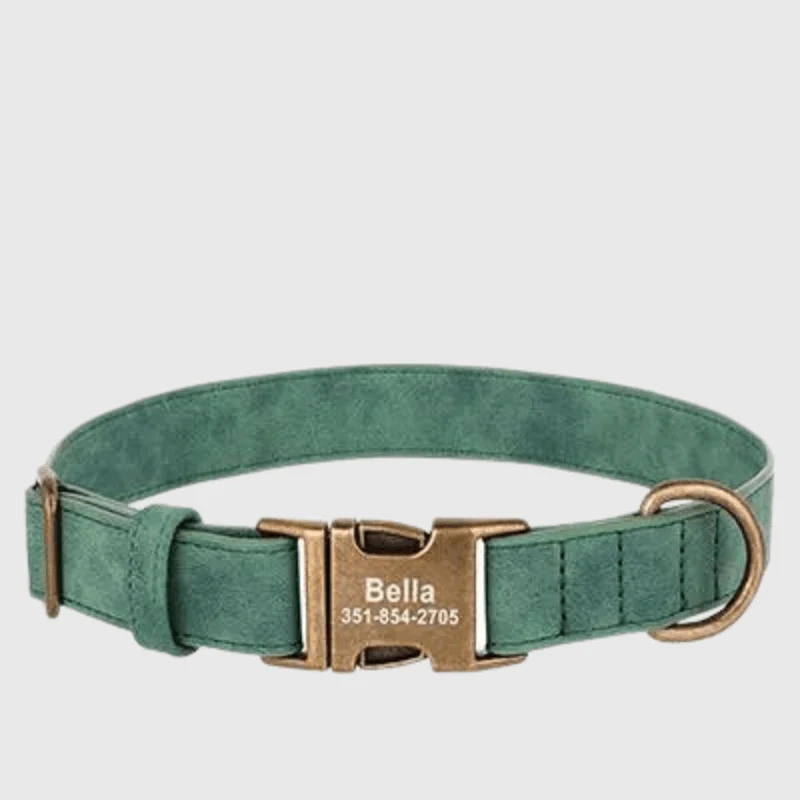 Collier Personnalisé Gravé Gros Chien Nylon