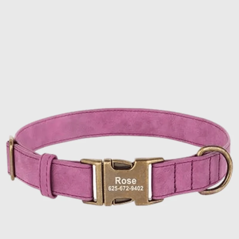 Collier Personnalisé Gravé Gros Chien Nylon