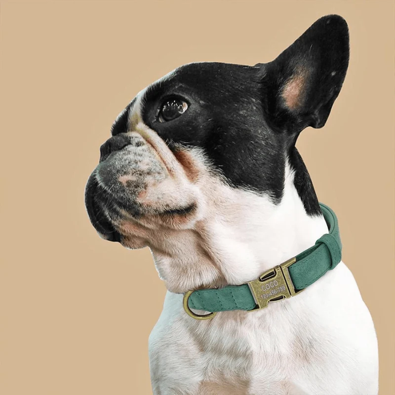 Collier Personnalisé Gravé Gros Chien Nylon