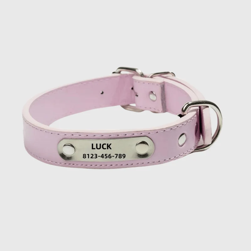 Collier Cuir Personnalisé Prénom Gravé Chien