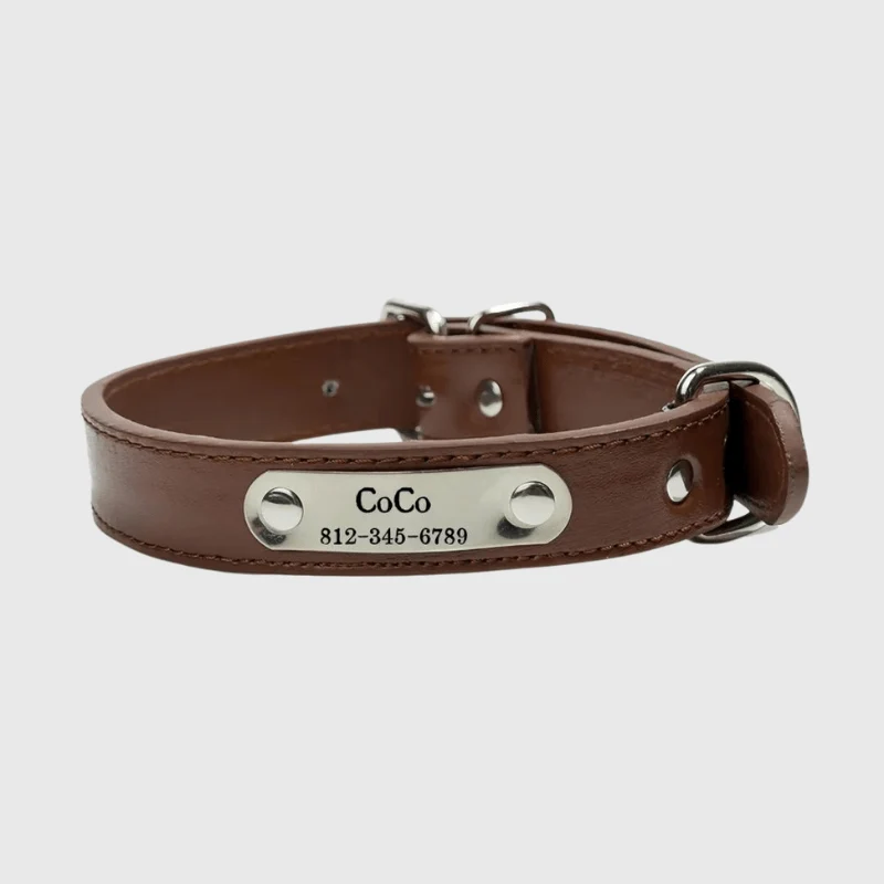 Collier Cuir Personnalisé Prénom Gravé Chien