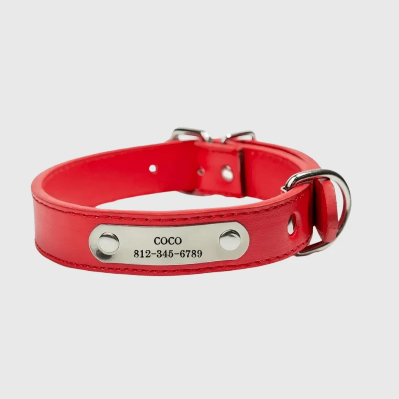 Collier Cuir Personnalisé Prénom Gravé Chien