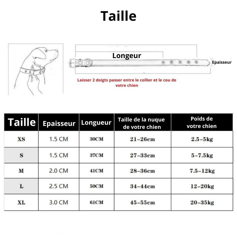 Collier Cuir Personnalisé Prénom Gravé Chien