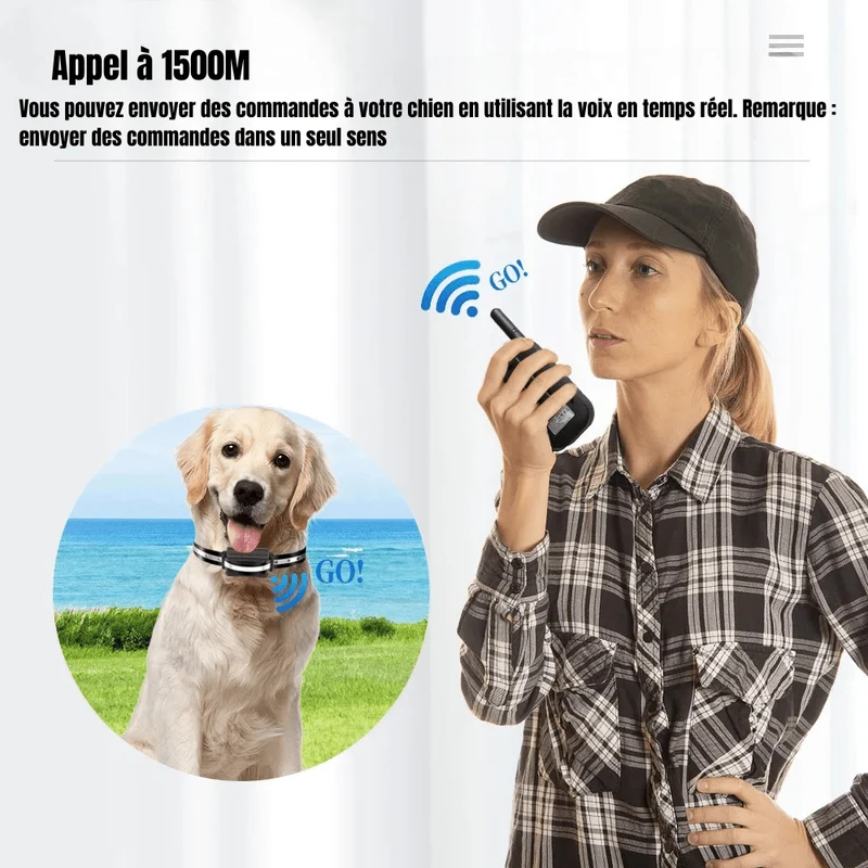 Collier Anti-Aboiement Rechargeable Grand Chien