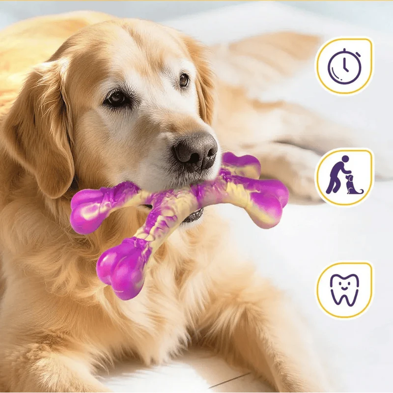 Jouet Mâcher Nylon Chien Ultra-Résistant Saveur