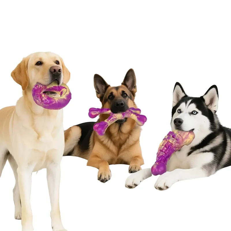 Jouet Mâcher Nylon Chien Ultra-Résistant Saveur