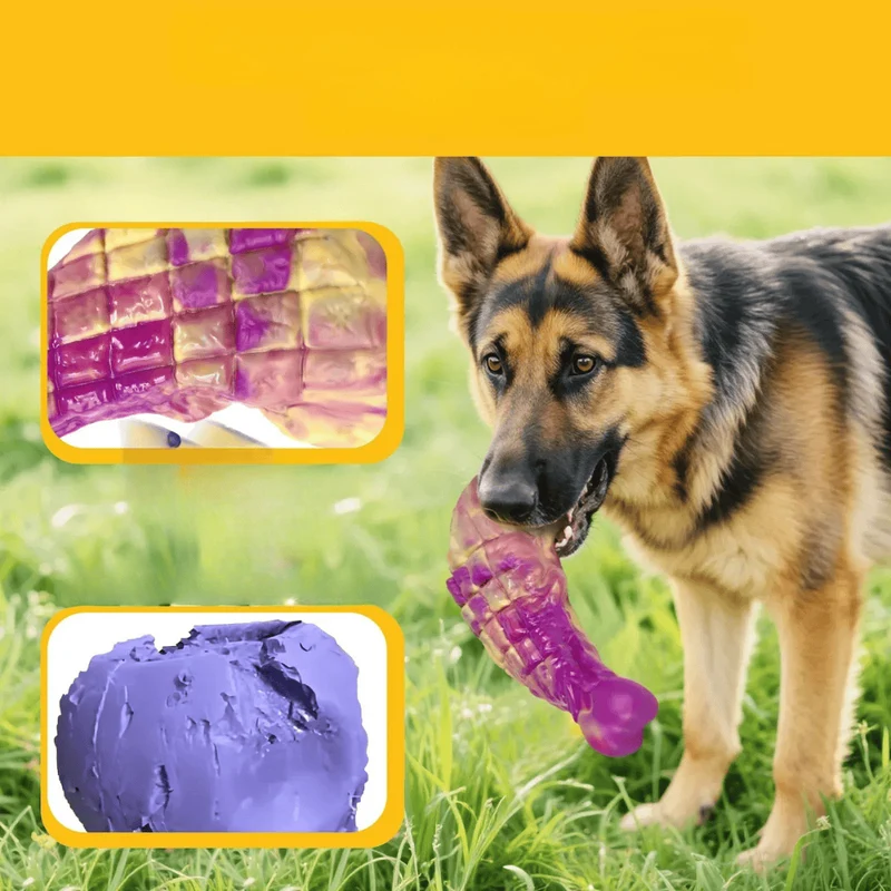 Jouet Mâcher Nylon Chien Ultra-Résistant Saveur