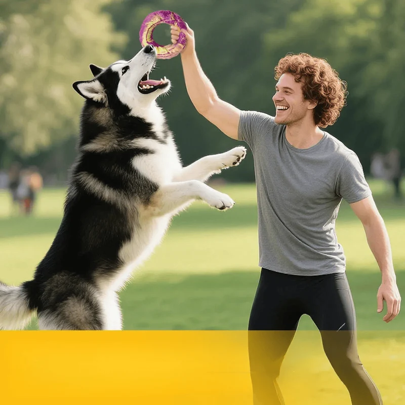 Jouet Mâcher Nylon Chien Ultra-Résistant Saveur