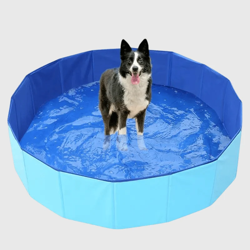 Piscine Pliable Chien XXL 80-100cm Résistante