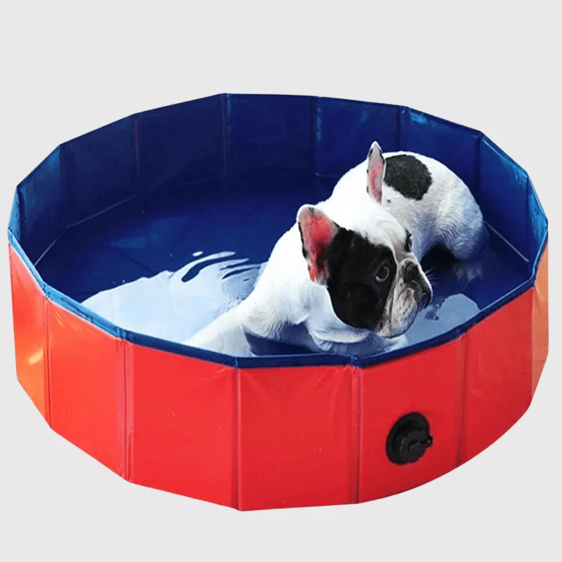 Piscine Rigide Chien PVC Rouge Anti-Dérapante