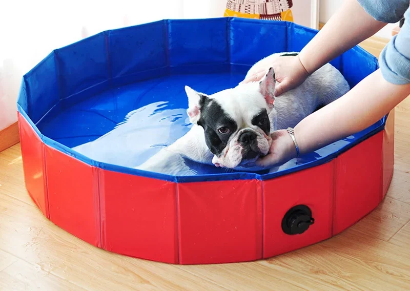 Piscine Rigide Chien PVC Rouge Anti-Dérapante