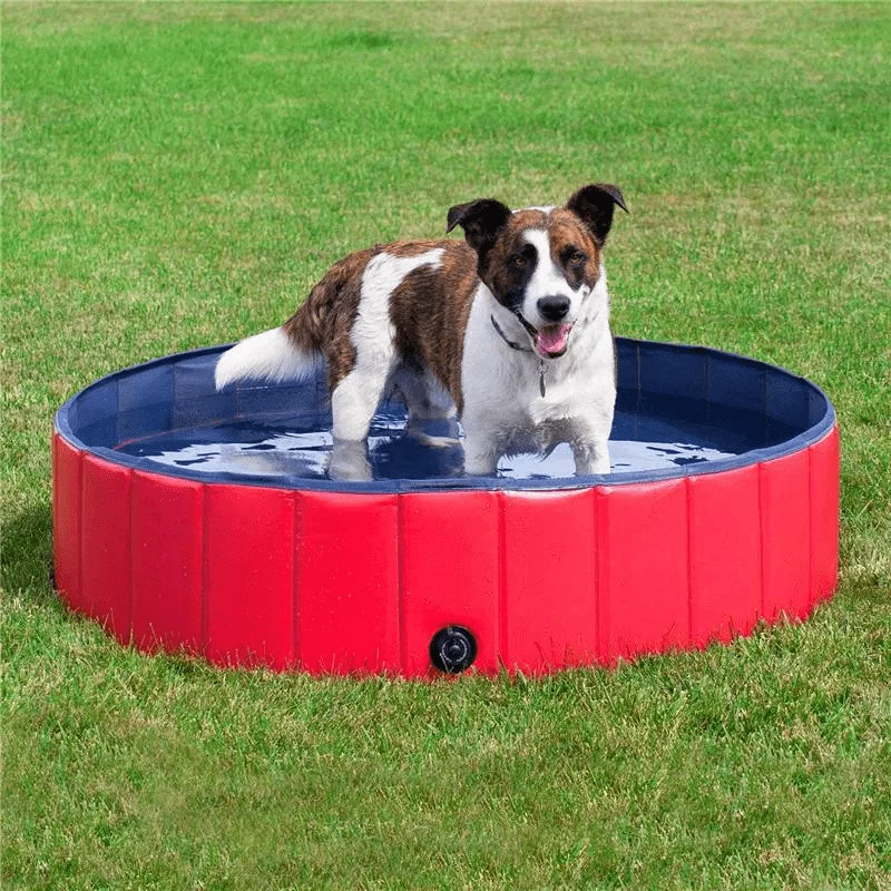 Piscine Rigide Chien PVC Rouge Anti-Dérapante