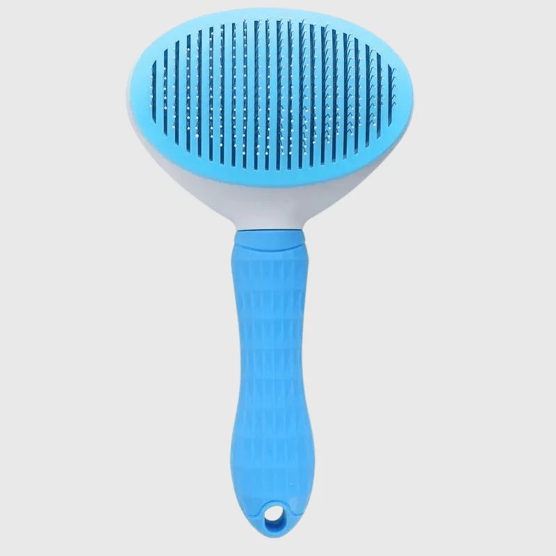 Brosse Toilettage Gros Chien Picots Acier