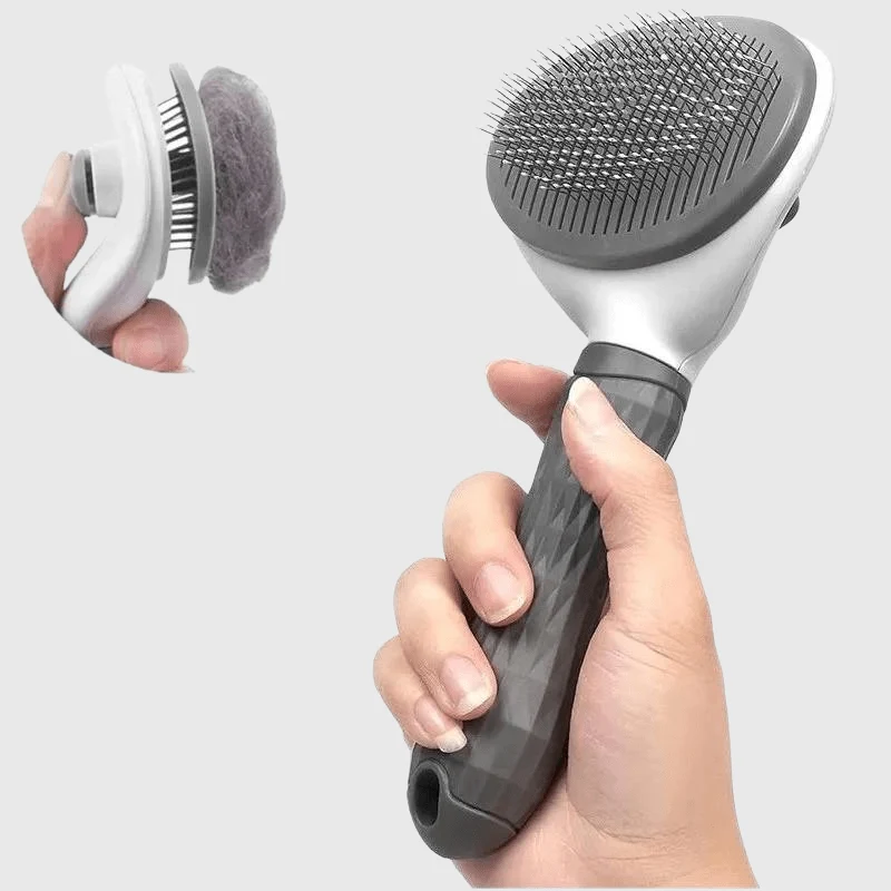 Brosse Toilettage Gros Chien Picots Acier