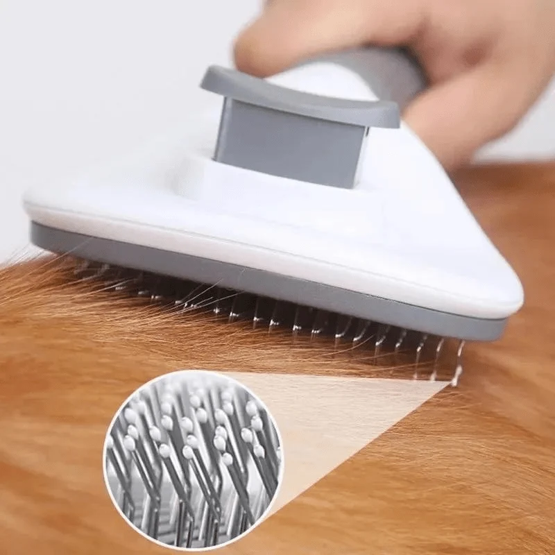 Brosse Toilettage Gros Chien Picots Acier