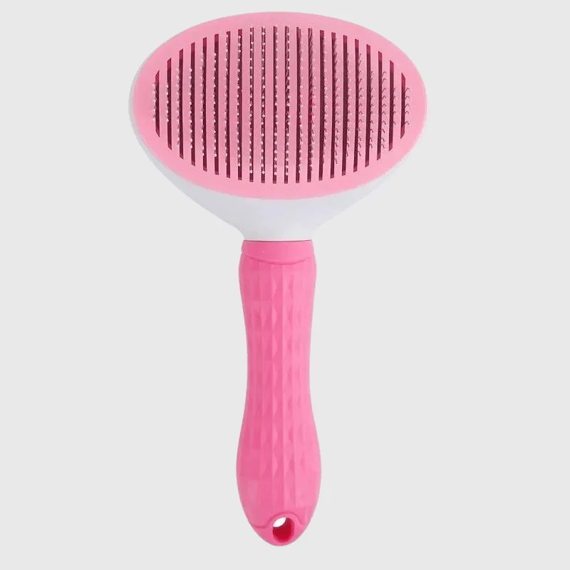 Brosse Toilettage Gros Chien Picots Acier
