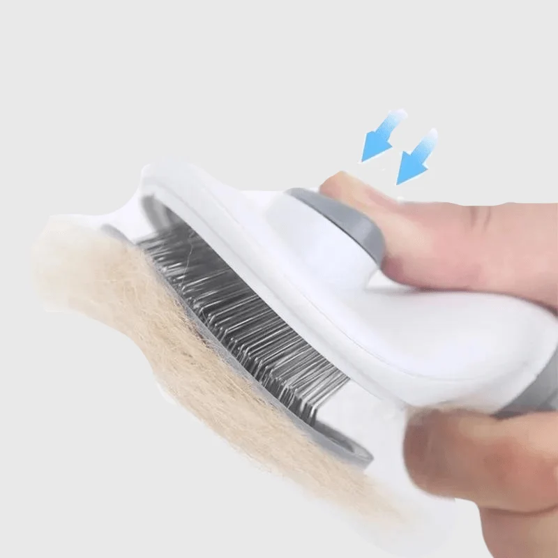 Brosse Toilettage Gros Chien Picots Acier