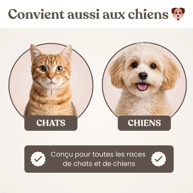 Tapis Nuage Doux Apaisant Chien 11 Modèles