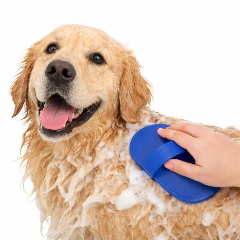 Brosse Toilettage Silicone Chien 3 Coloris