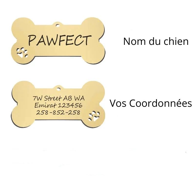 Médaille Identification Chien Gravée Personnalisable