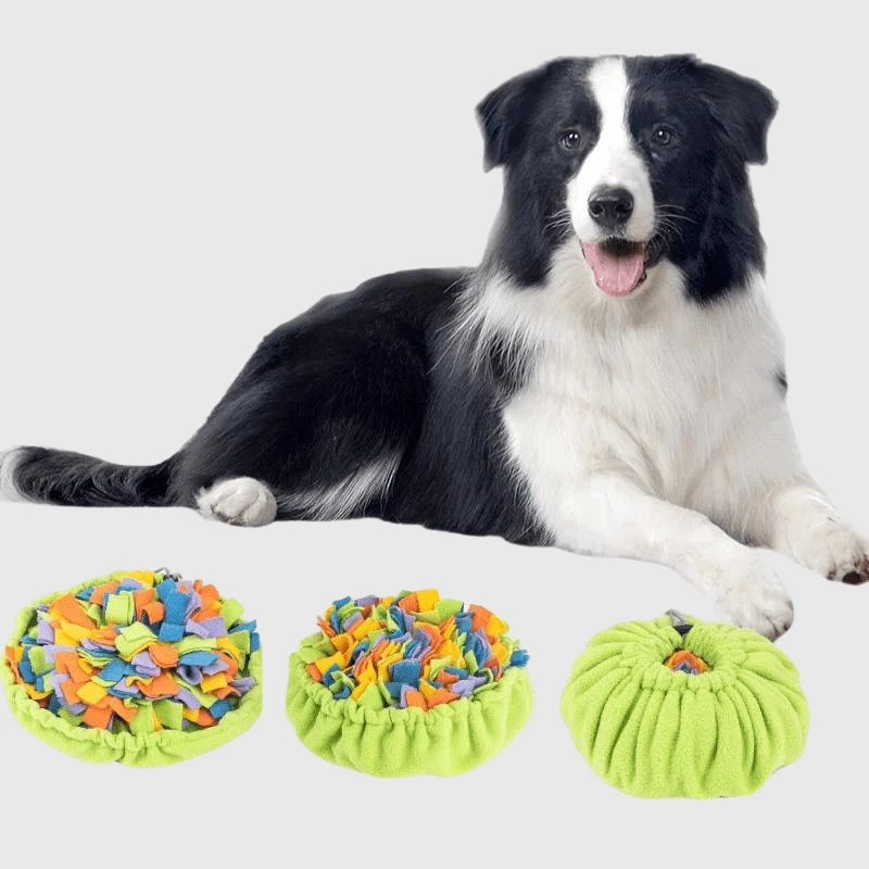 Tapis Fouille Stimulation Mentale Chien 45cm