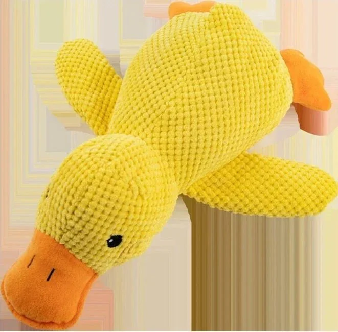 Peluche Canard Sonore Jouet Chien