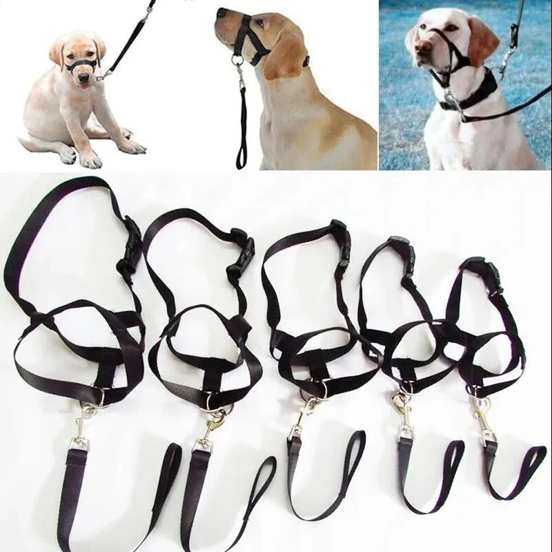 Licol Ajustable Nylon Réfléchissant Grand Chien