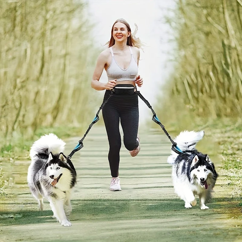 Laisse Mains Libres Ceinture Élastique Canicross
