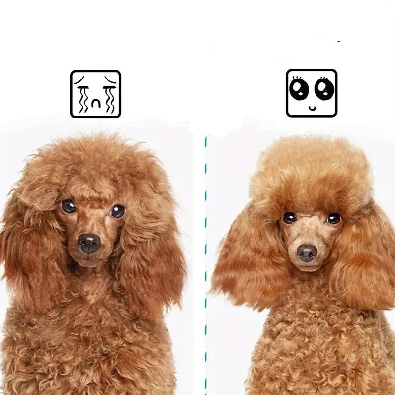 Brosse Auto-Nettoyante Gros Chien Démêlante