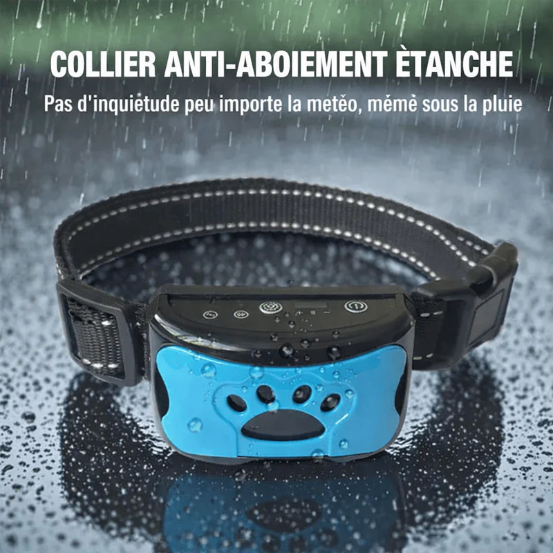 Collier Anti-Aboiement Intelligent Gros Chien