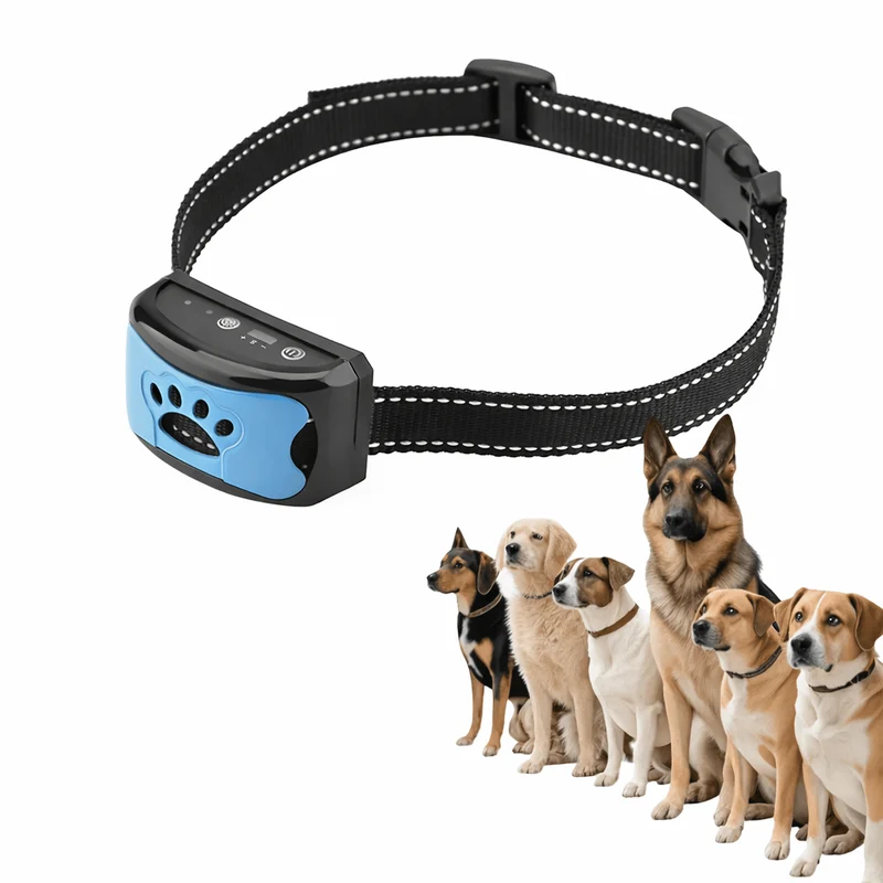 Collier Anti-Aboiement Intelligent Gros Chien